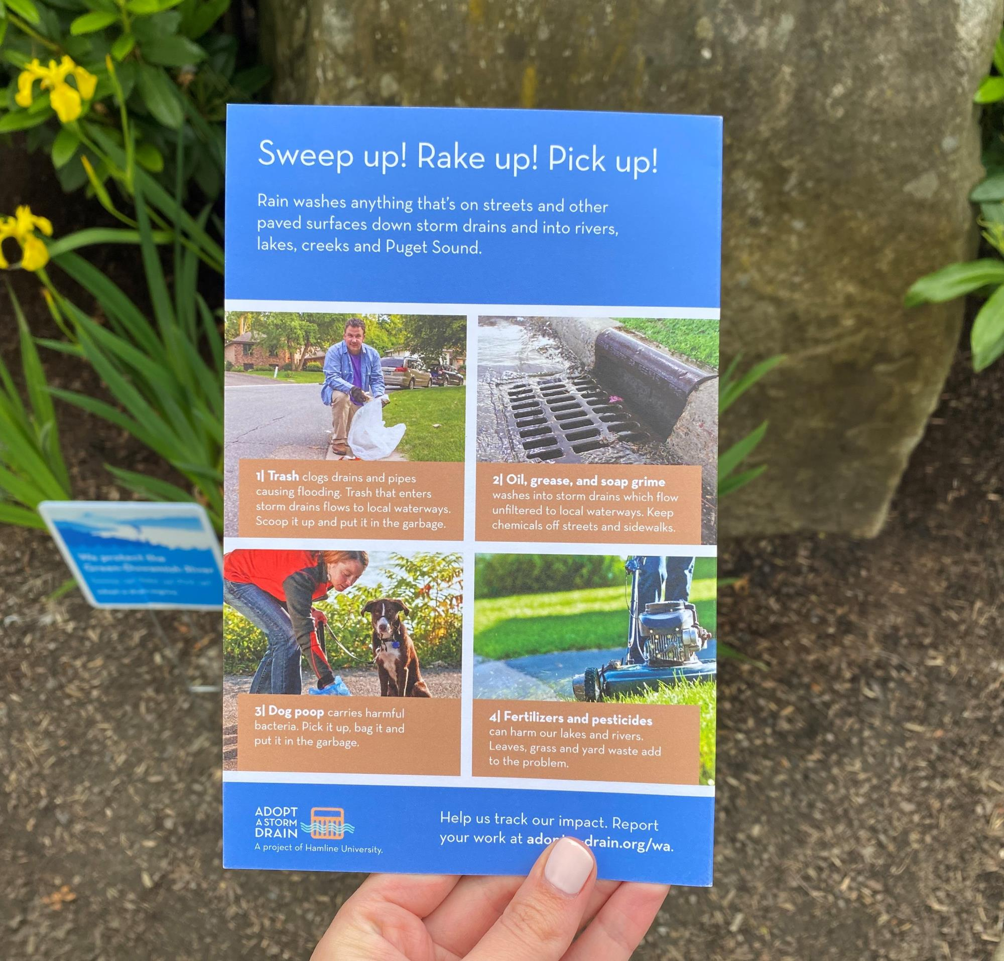 Adopt a drain brochure backside.png