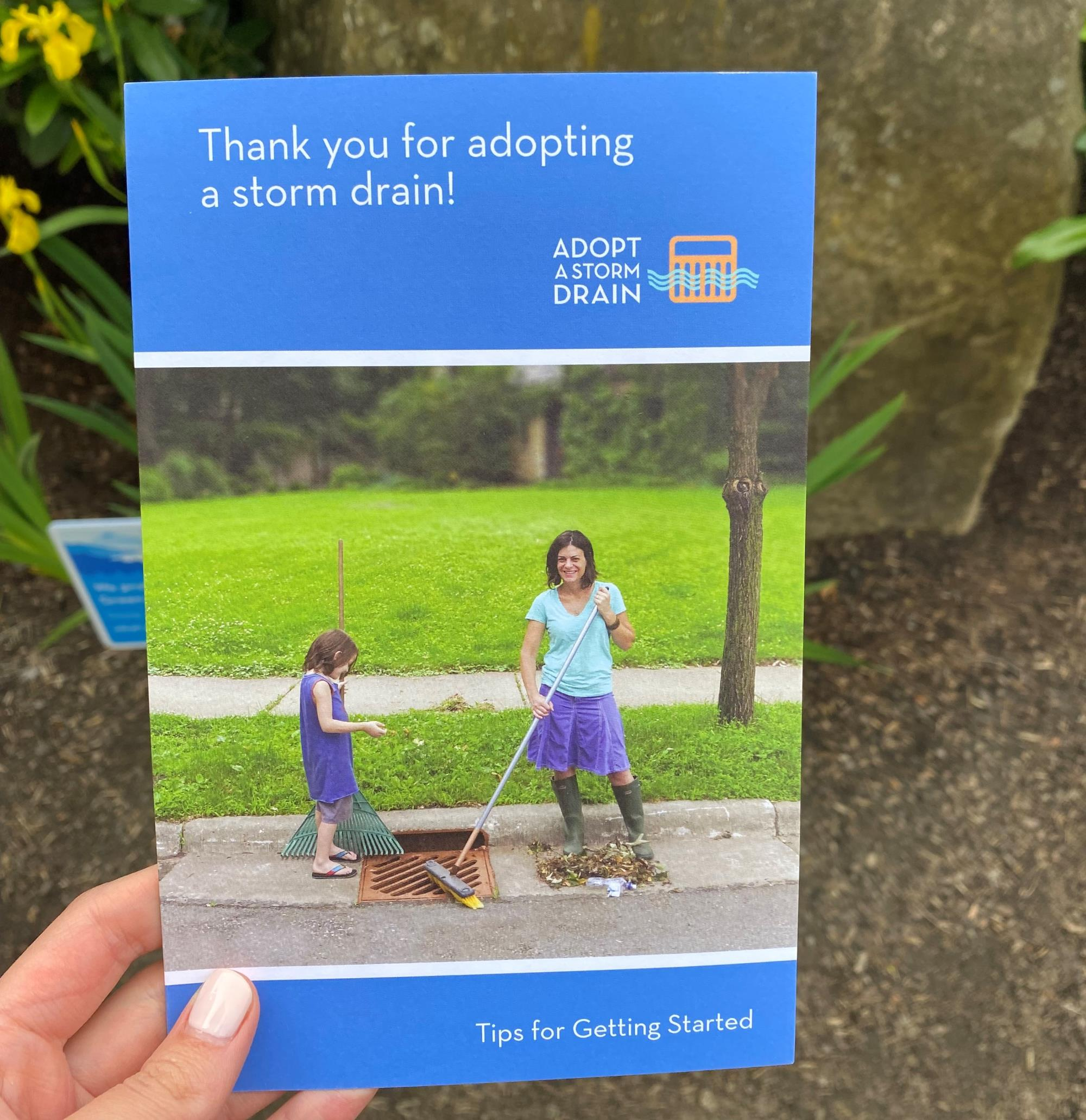Adopt a drain brochure cover.png