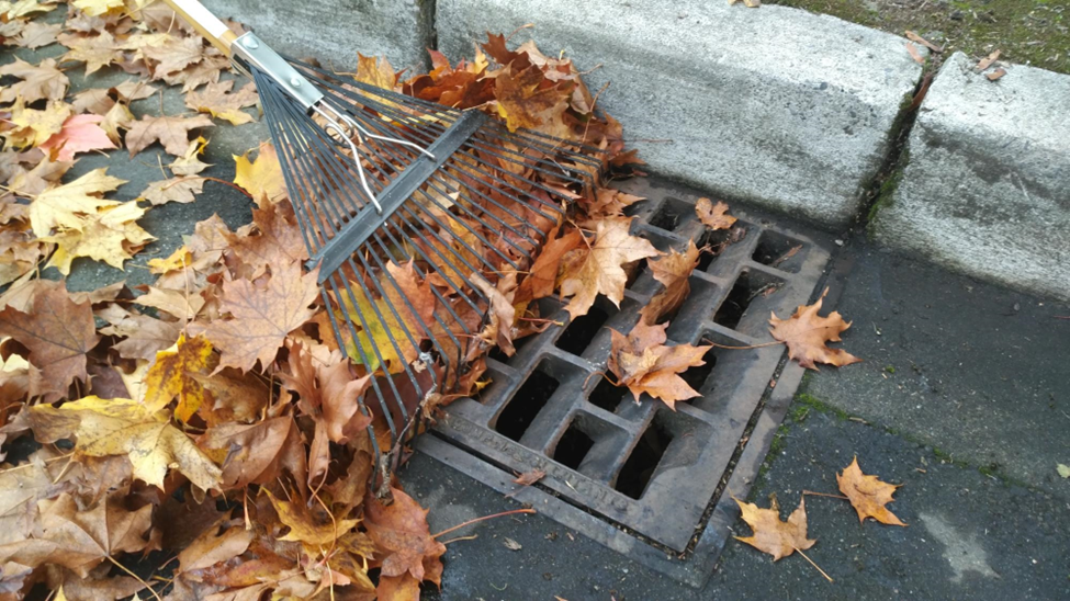 A rake pulling leaves out of a storm drain